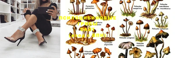 молекула духа Абаза