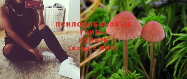 молекула духа Абаза